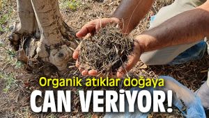 Organik atıklar doğaya can veriyor!