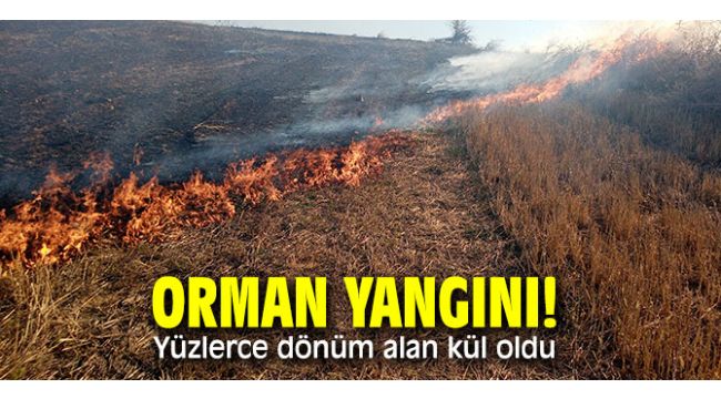 Ormanda başlayan yangın anıza sıçradı