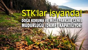 STK'lar isyanda! Doğa Koruma ve Milli Parklar Genel Müdürlüğü (DKMP) kapatılıyor!