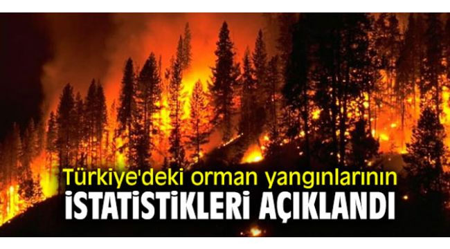 Türkiye'deki orman yangınlarının istatistikleri açıklandı