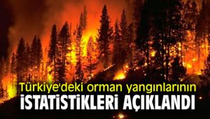 Türkiye'deki orman yangınlarının istatistikleri açıklandı
