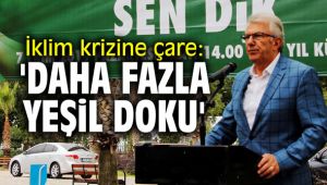 İklim krizine çare: 'Daha fazla yeşil doku'