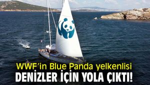 WWF’in Blue Panda yelkenlisi denizler için yola çıktı!