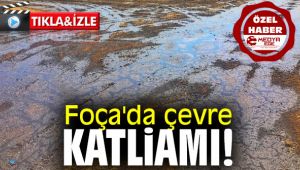 Foça'da çevre katliamı!