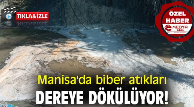 Manisa'da biber atıkları dereye dökülüyor!