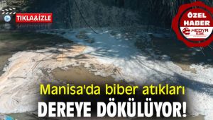 Manisa'da biber atıkları dereye dökülüyor!