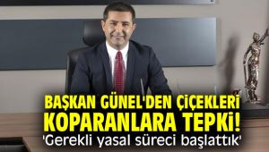 Başkan Günel'den çiçekleri koparanlara tepki! 'Gerekli yasal süreci başlattık'