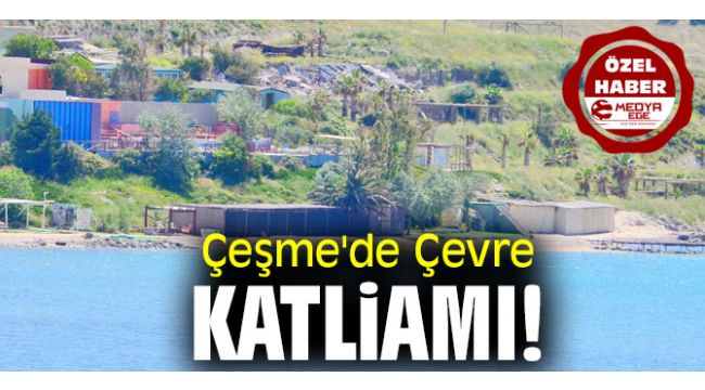 Çeşme'de Çevre Katliamı!