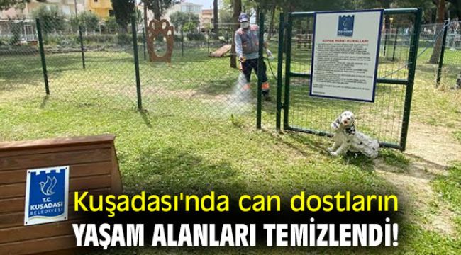 Kuşadası'nda can dostların yaşam alanları temizlendi!