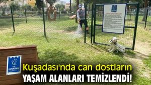 Kuşadası'nda can dostların yaşam alanları temizlendi!