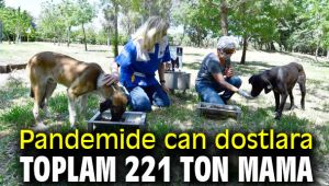 Pandemide can dostlara toplam 221 ton mama