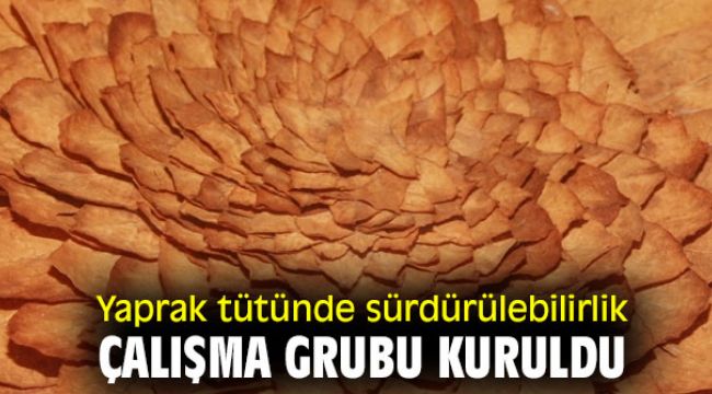 Yaprak tütünde sürdürülebilirlik çalışma grubu hayata geçti!