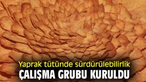 Yaprak tütünde sürdürülebilirlik çalışma grubu hayata geçti!