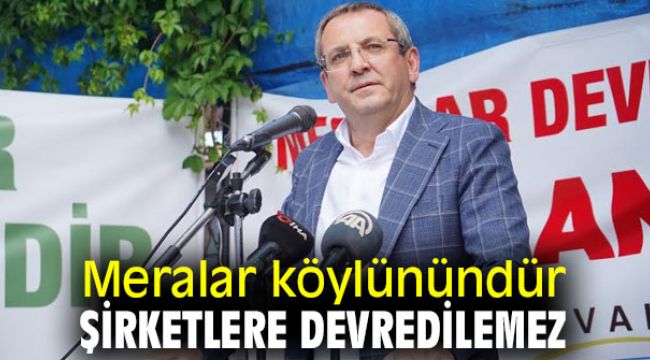 MERALAR KÖYLÜNÜNDÜR, ŞİRKETLERE DEVREDİLEMEZ 