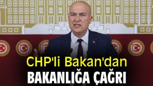 CHP'li Bakan'dan Bakanlığa çağrı