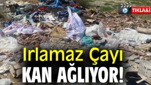 Irlamaz Çayı kan ağlıyor!