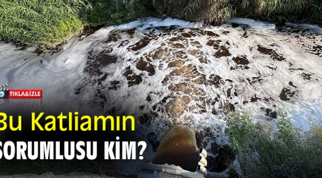 Bu katliamın sorumlusu kim?