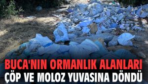 Buca'nın ormanlık alanları çöp ve moloz yuvasına döndü