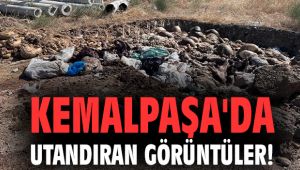 Kemalpaşa'da utandıran görüntüler!